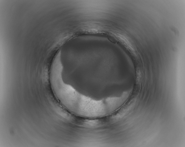 X0000111020457200907022202