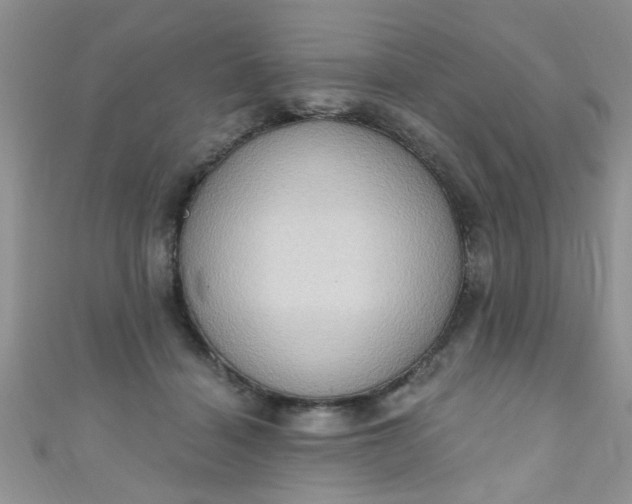 X0000111020460200907022202