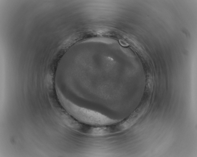 X0000111020461200907022202