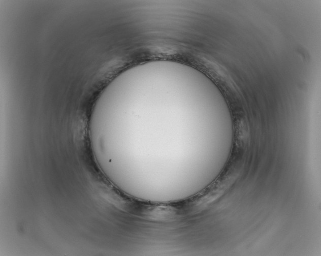 X0000111020463200907022202
