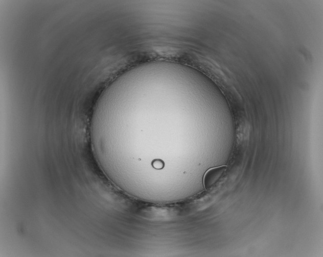 X0000111020464200907022202