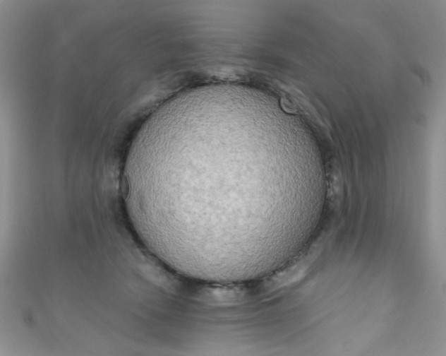 X0000111020466200907022202