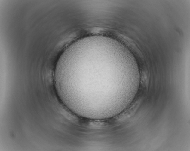 X0000111020470200907022202