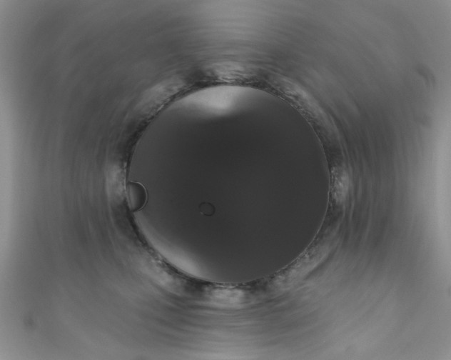 X0000111020471200907022202