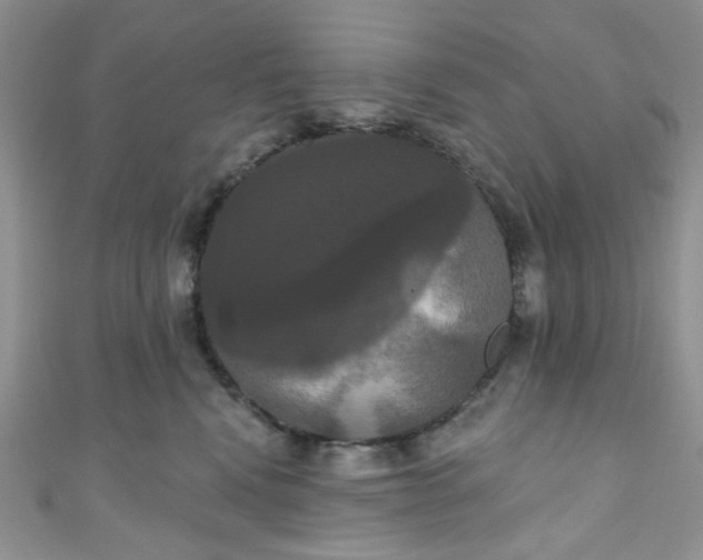 X0000111020472200907022202