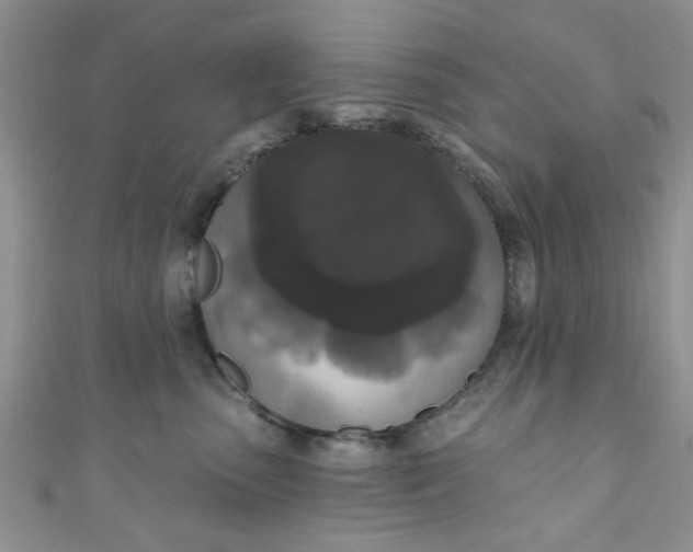 X0000111020475200907022202