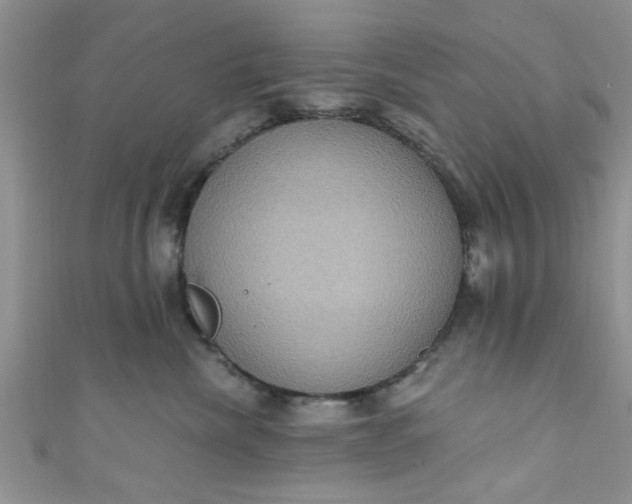 X0000111020476200907022202