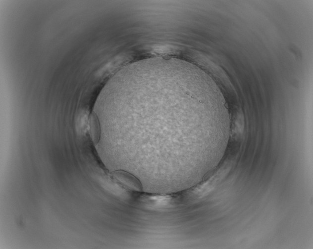 X0000111020478200907022202