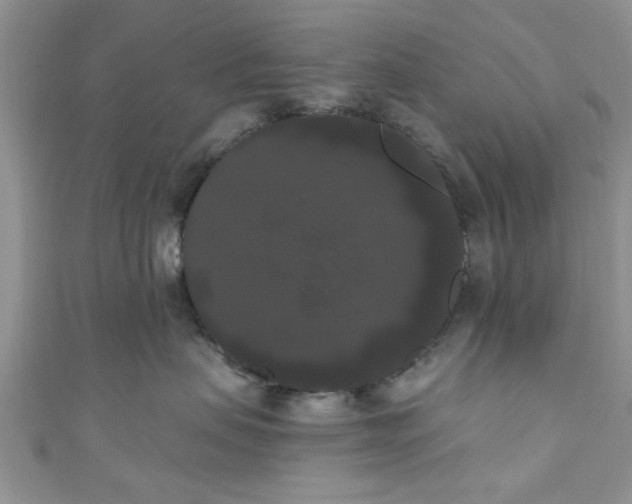 X0000111020479200907022202