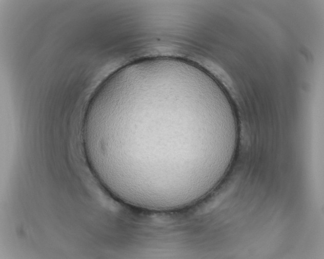 X0000111020481200907022202