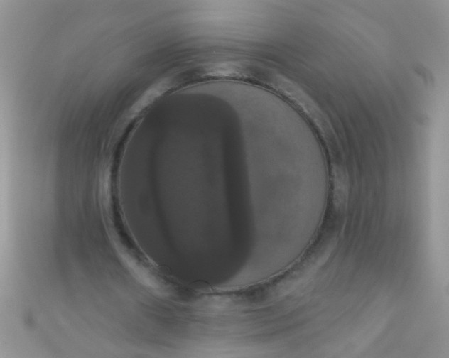 X0000111020482200907022202
