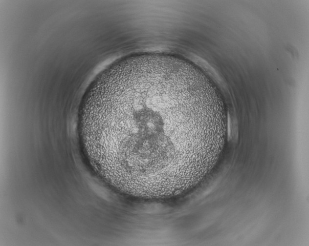 X0000111020483200907022202