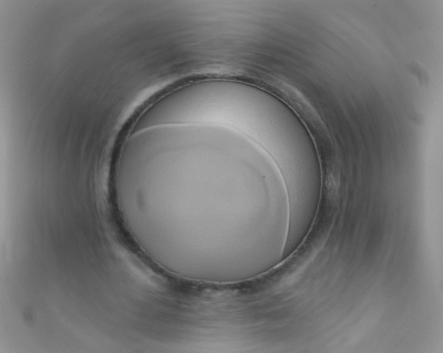 X0000111020484200907022202