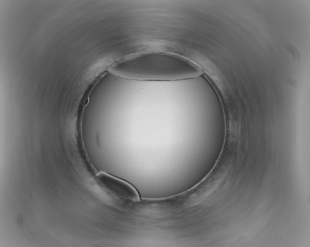 X0000111020485200907022202