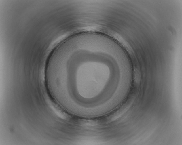 X0000111020486200907022201