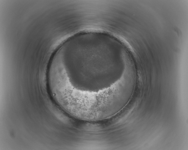 X0000111020487200907022201