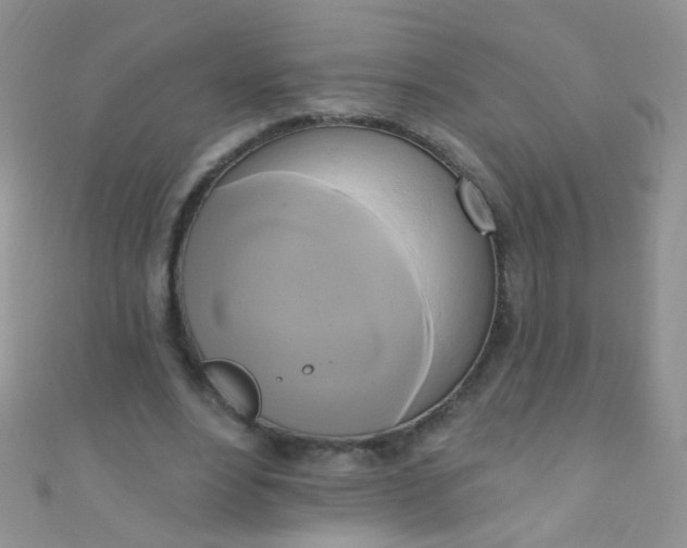 X0000111020488200907022201