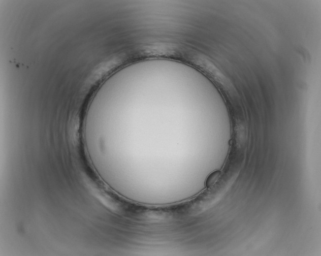 X0000111020490200907022201