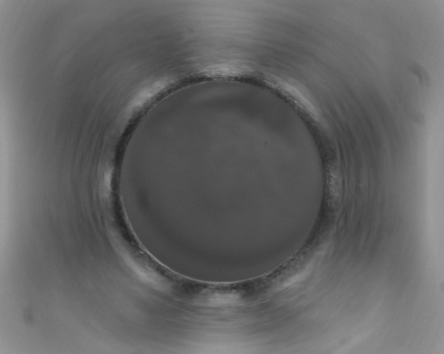 X0000111020491200907022201