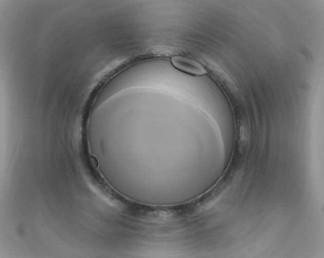 X0000111020492200907022201