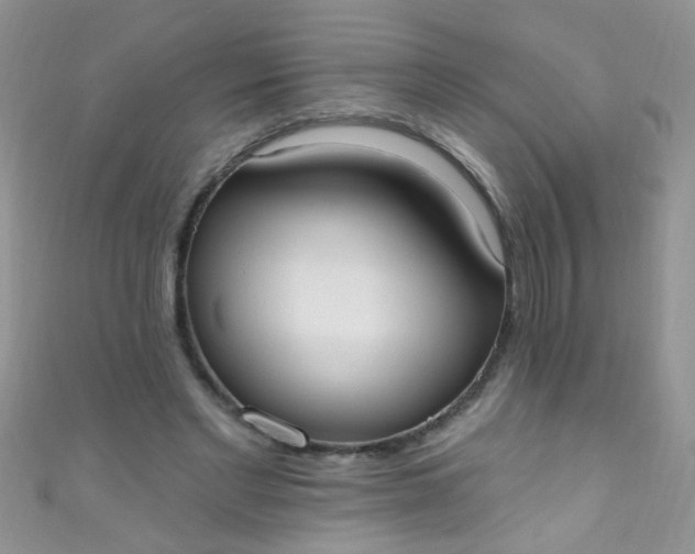 X0000111020493200907022201