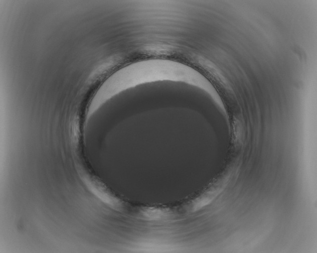 X0000111020494200907022201