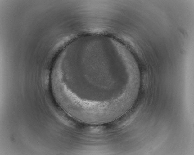 X0000111020495200907022201
