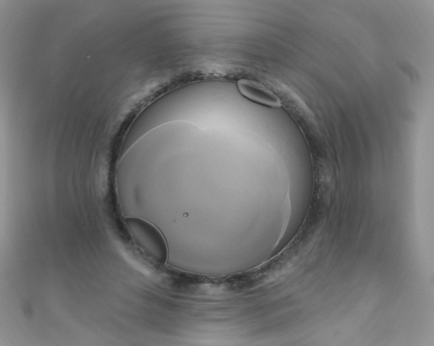 X0000111020496200907022201