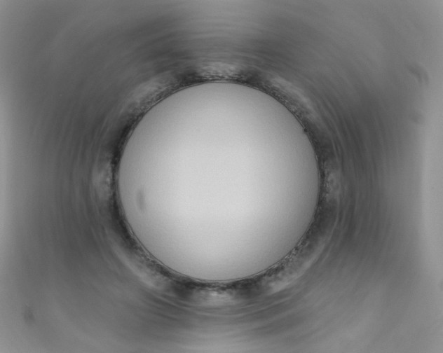 X0000111020498200907022201