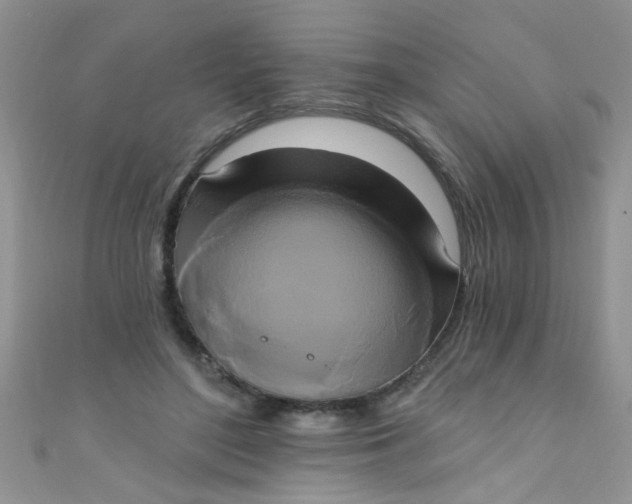 X0000111020500200907022201