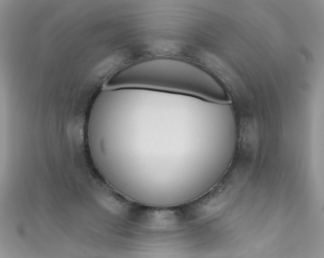 X0000111020501200907022201