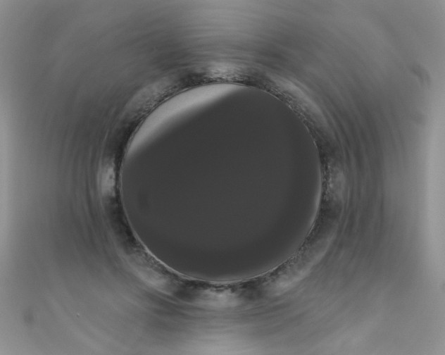 X0000111020502200907022201