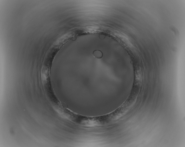 X0000111020503200907022201