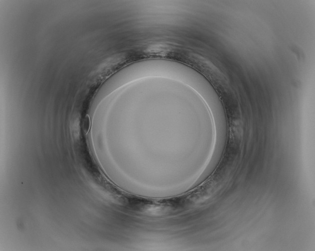 X0000111020504200907022201