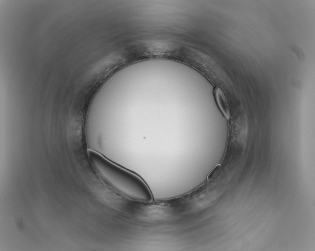 X0000111020505200907022201