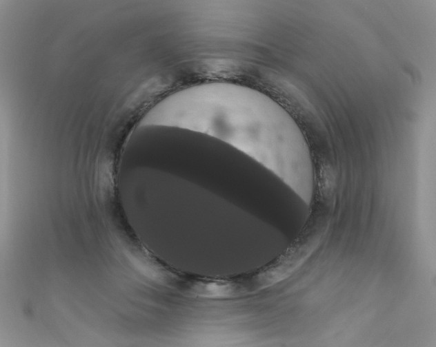X0000111020506200907022201