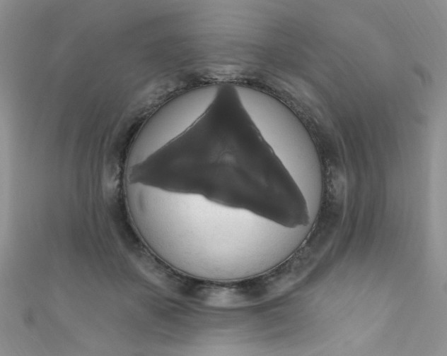 X0000111020507200907022201