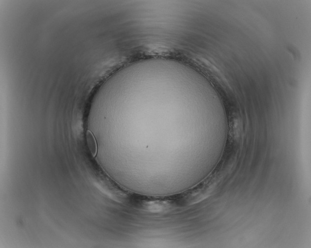 X0000111020508200907022201