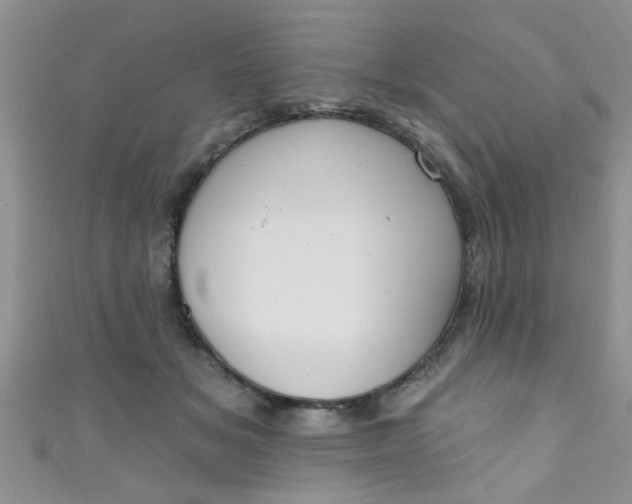 X0000111020509200907022201