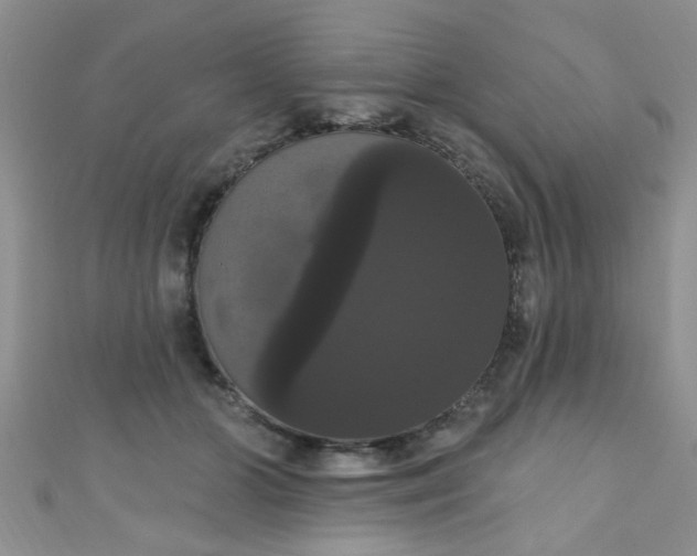 X0000111020510200907022201