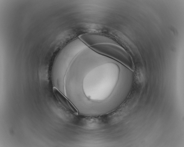 X0000111020512200907022201