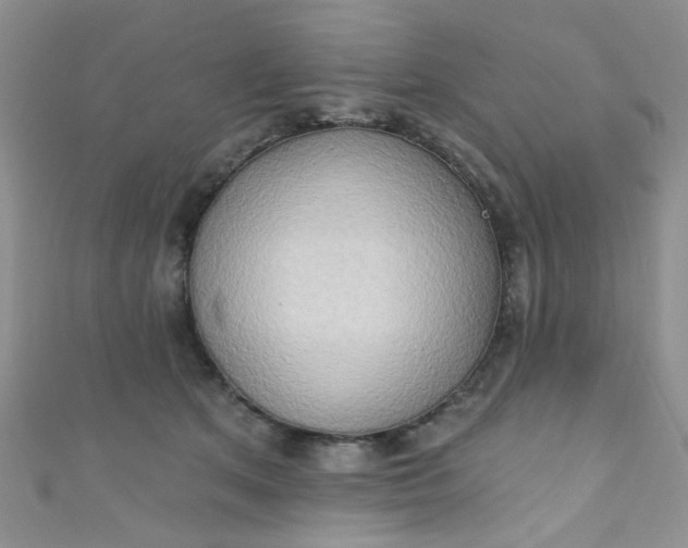 X0000111020513200907022201