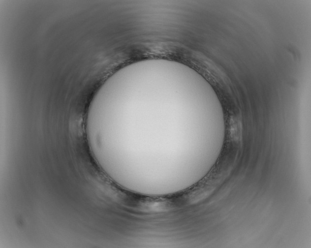 X0000111020514200907022201