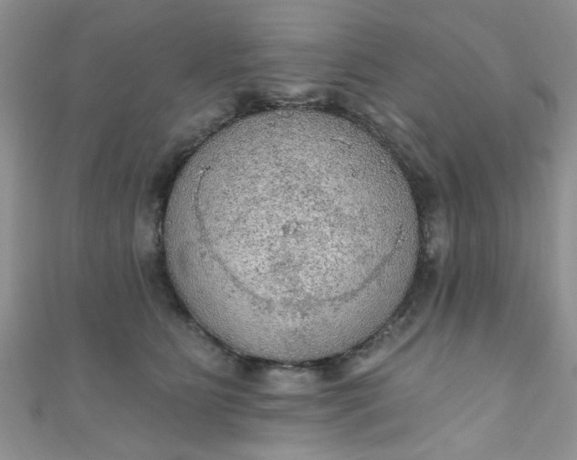 X0000111020515200907022201