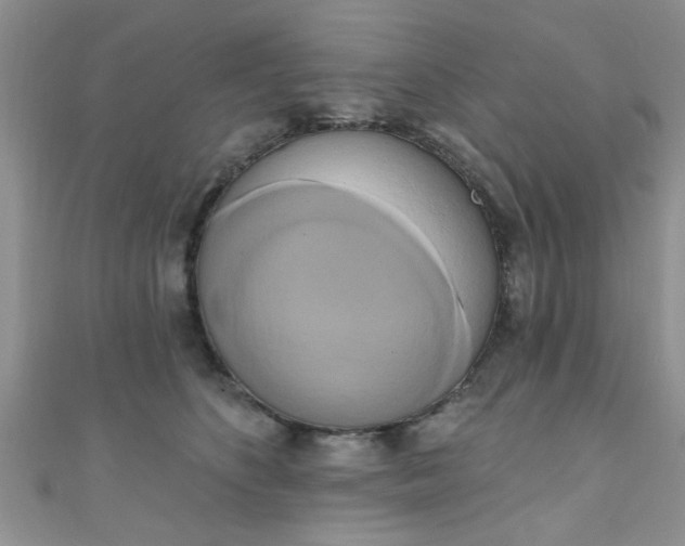 X0000111020516200907022201