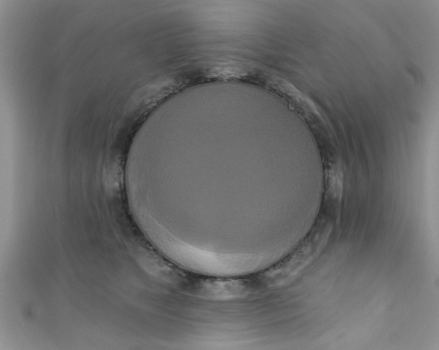 X0000111020517200907022201