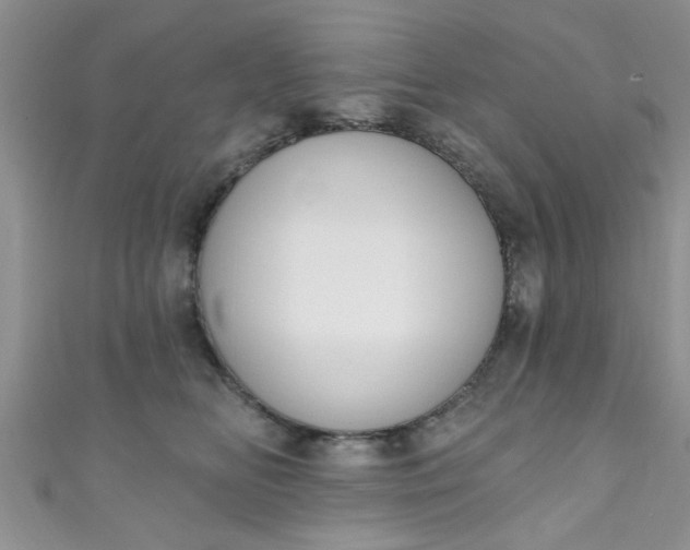 X0000111020518200907022201