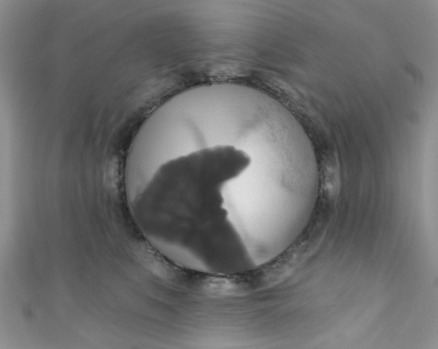 X0000111020519200907022201