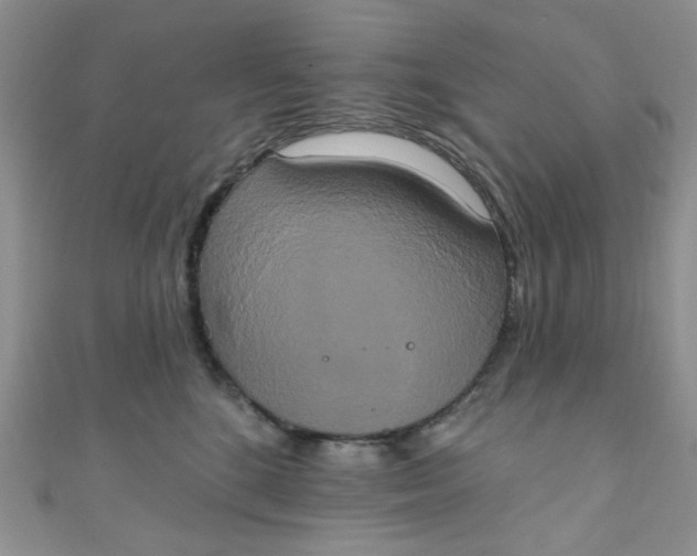 X0000111020520200907022201