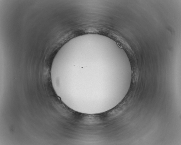 X0000111020521200907022201